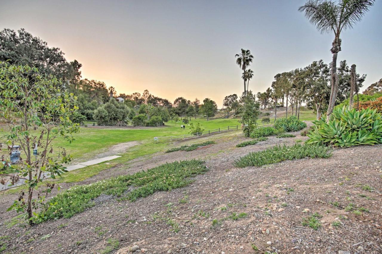 Quaint La Mesa Home With Beautiful Sunsets! Екстериор снимка