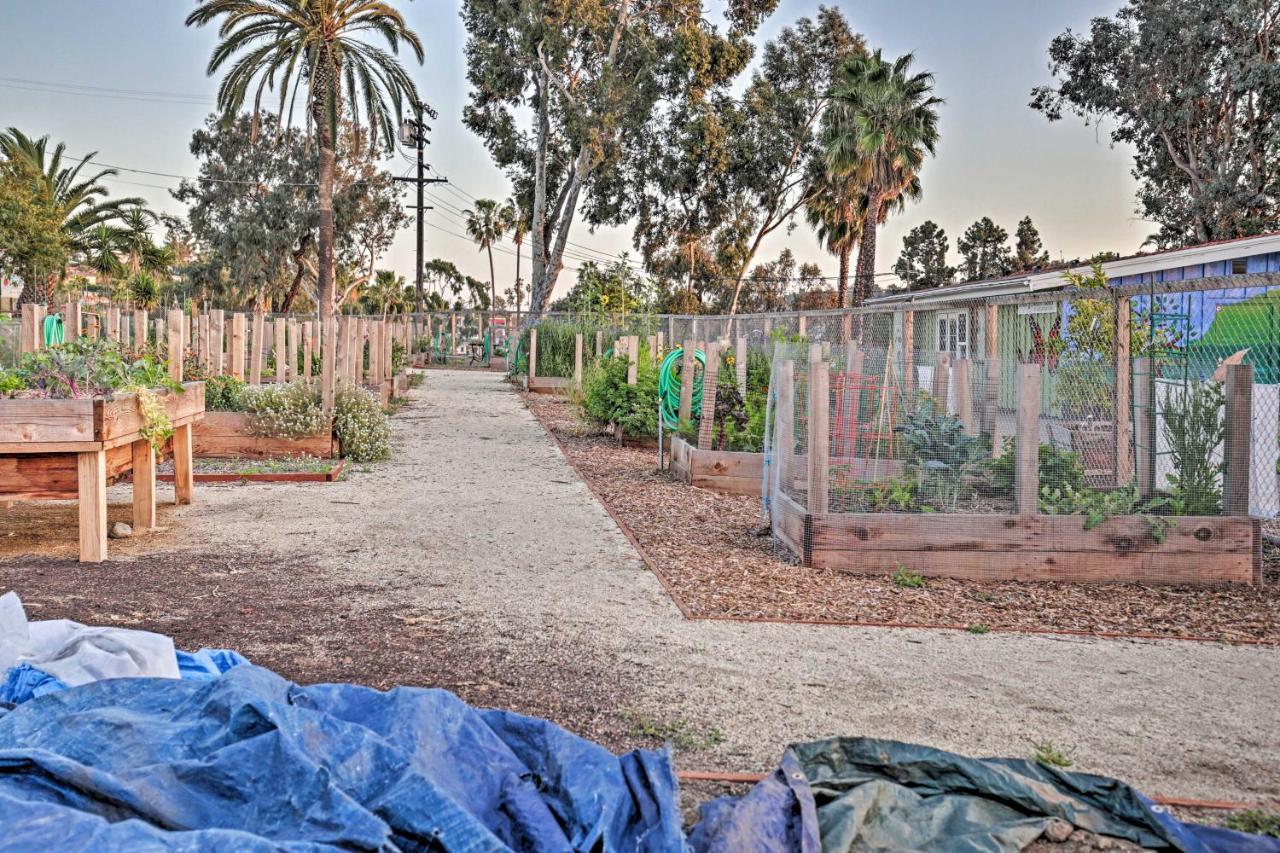 Quaint La Mesa Home With Beautiful Sunsets! Екстериор снимка